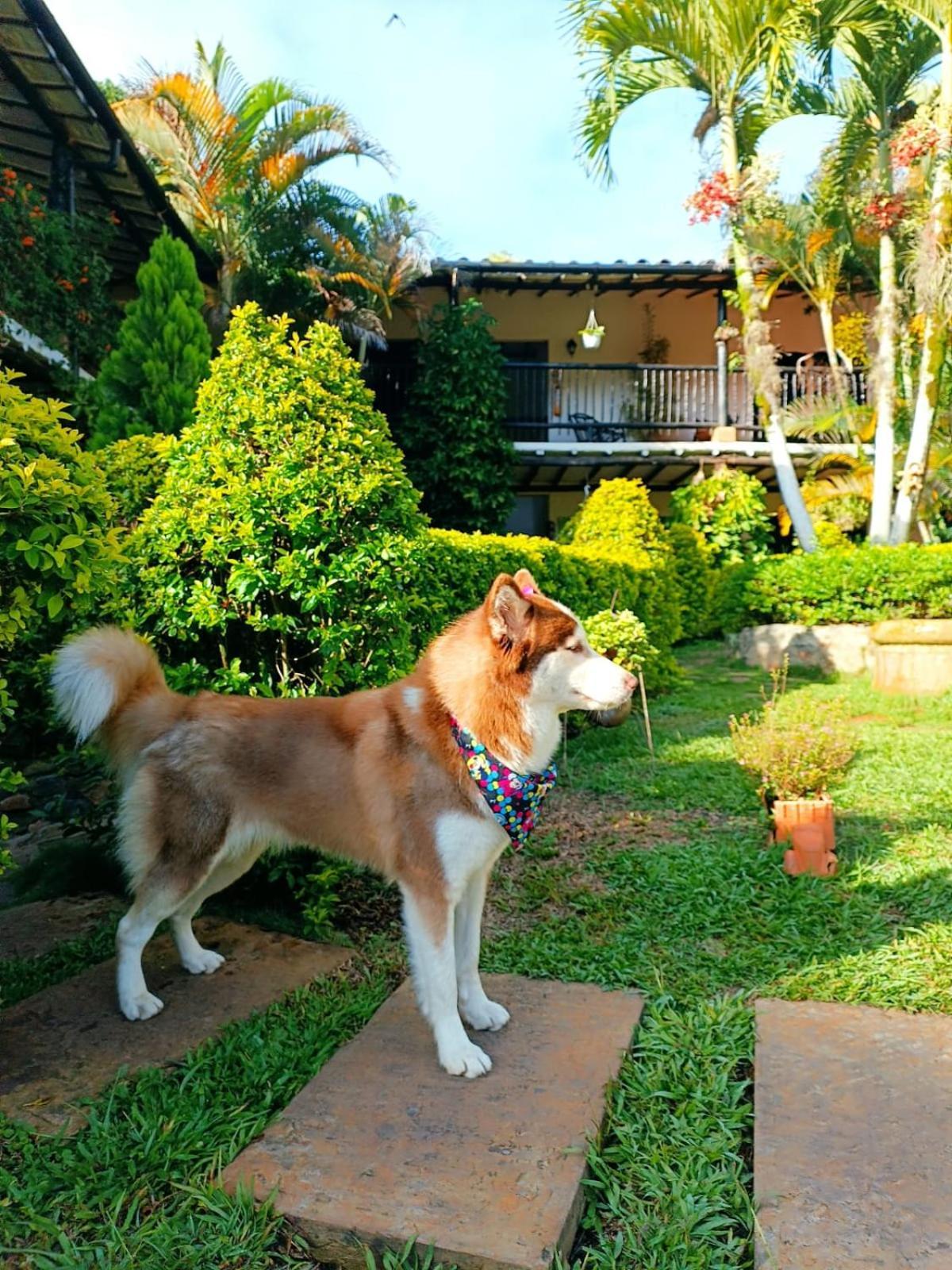 Hotel Campestre Casona Del Camino Real San Gil Εξωτερικό φωτογραφία